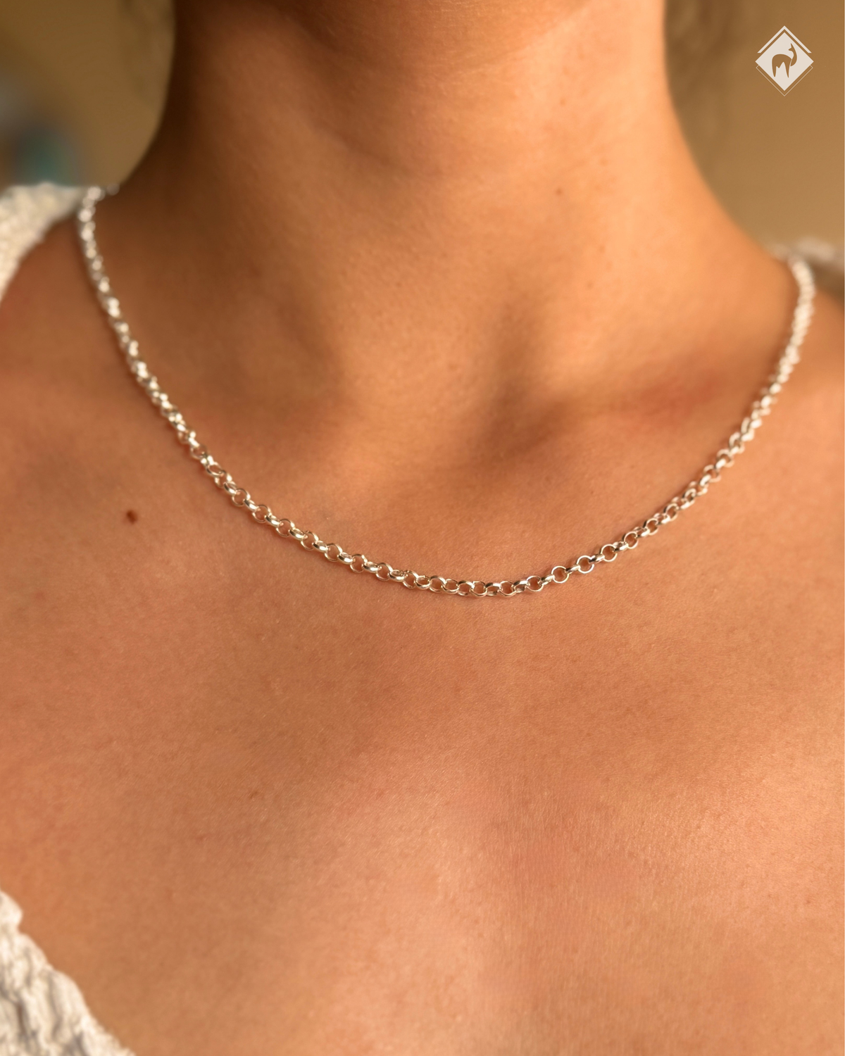 (07300-005) Cadena de Plata