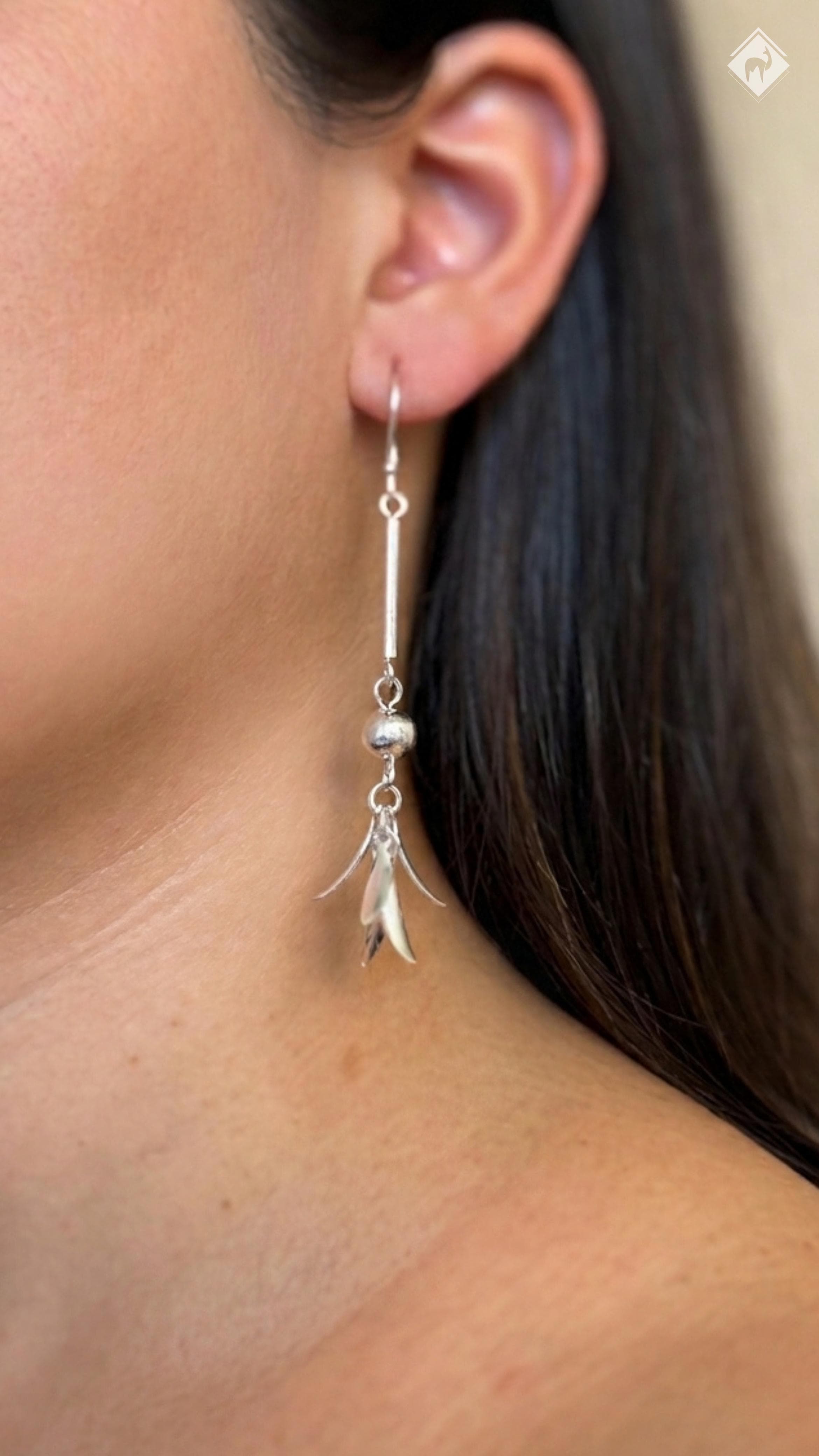 Aretes de Plata (15200)
