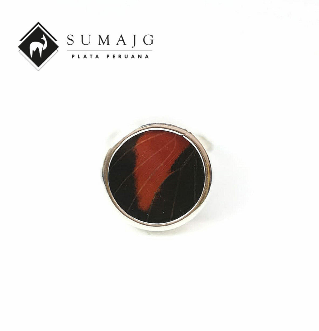 Anillo diseño ala de mariposa (12225-098) - Sumajg Joyas