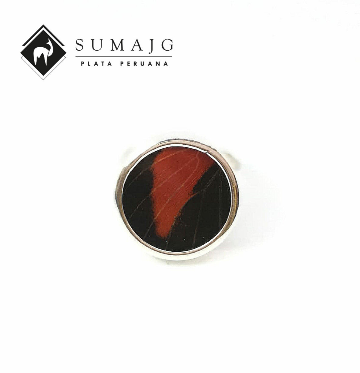 Anillo diseño ala de mariposa (12225-098) - Sumajg Joyas